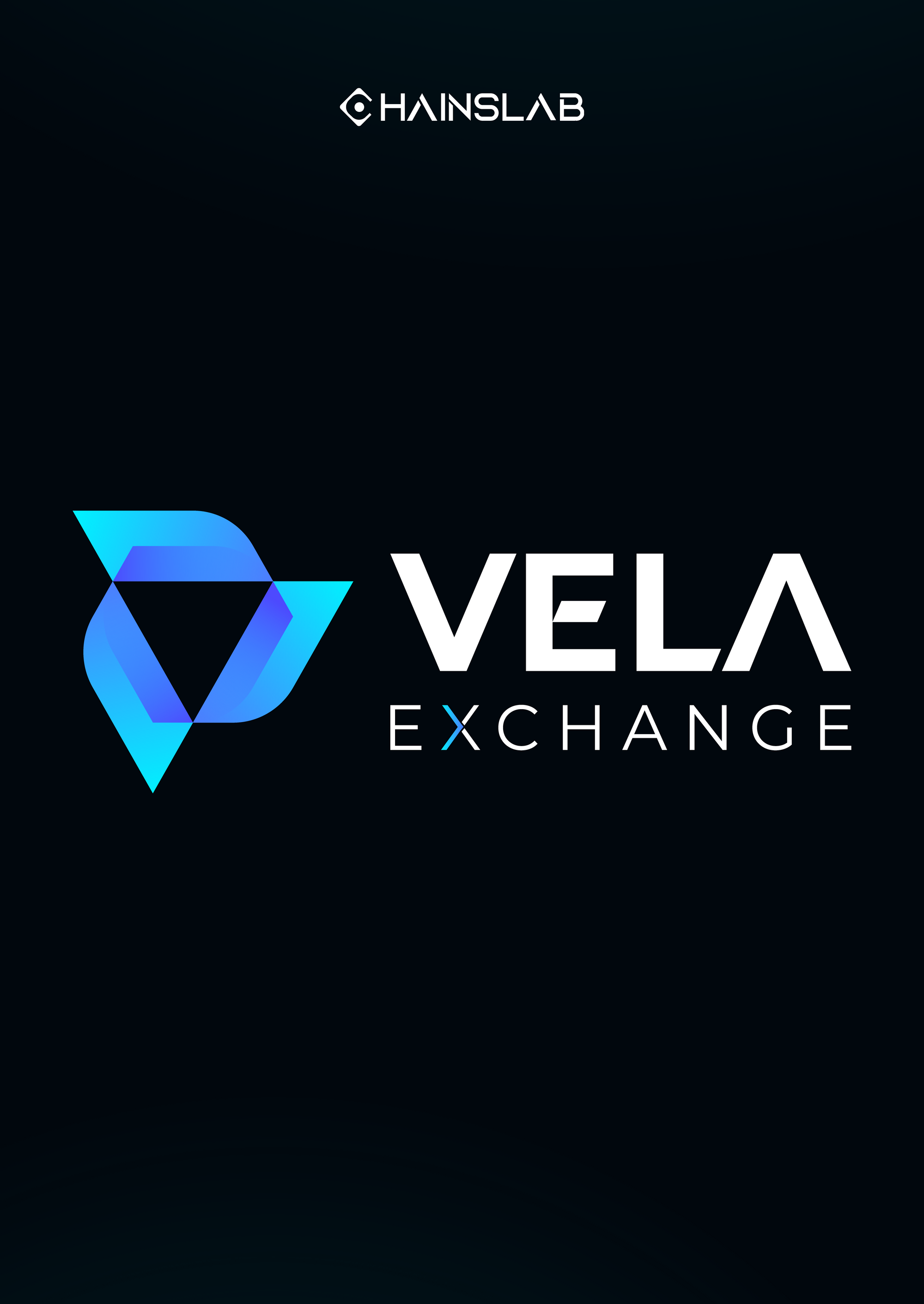 What is Vela Exchange?